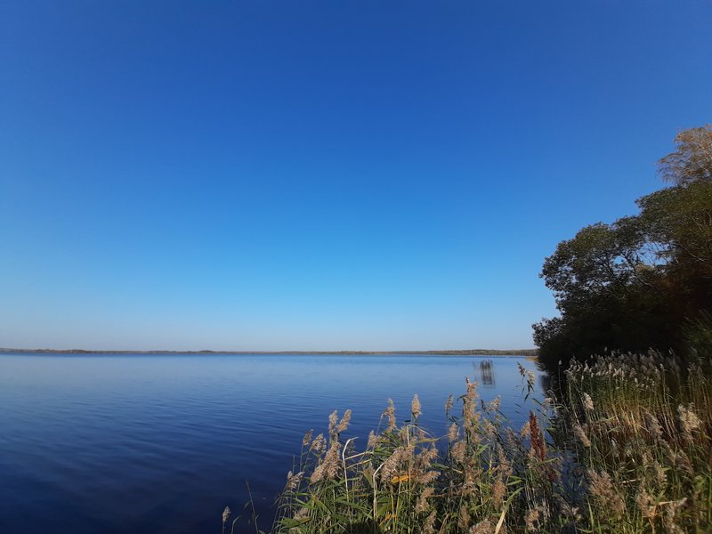  Страница 81 - Форум 