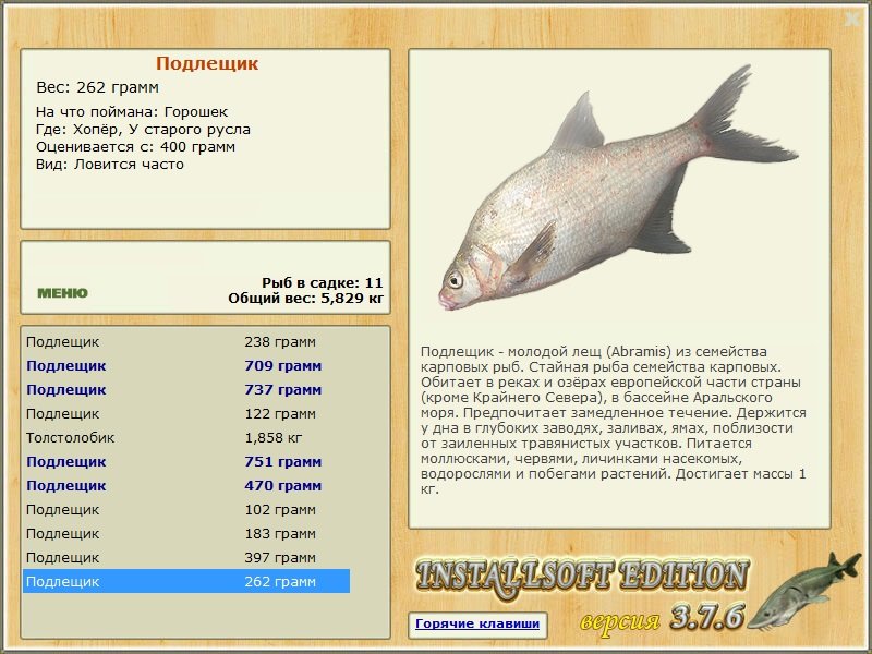 У старого русла 