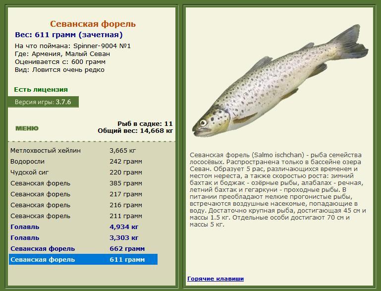 Малый Севан 