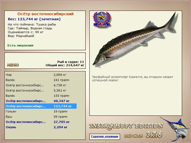 Водная гладь 