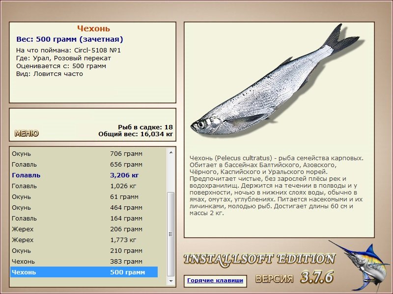 турниры • РУССКАЯ РЫБАЛКА
