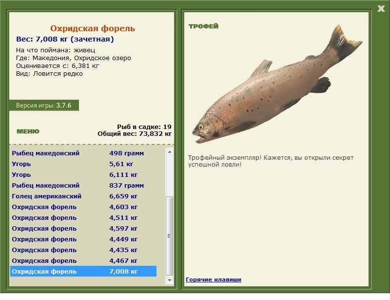 Охридская форель 