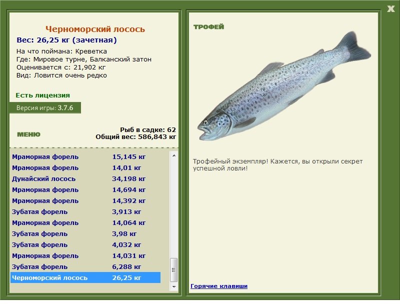 Черноморский лосось 