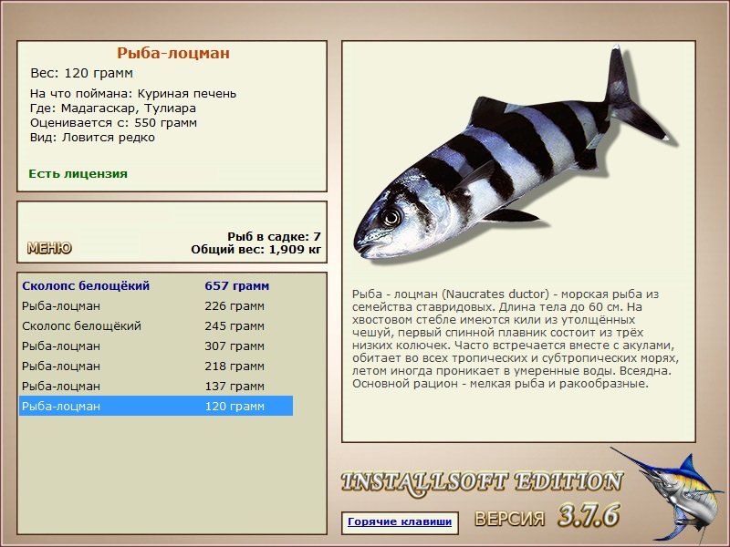 Тулиара 