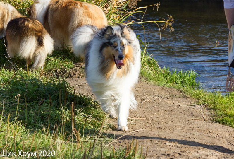 160148373294333994.jpg