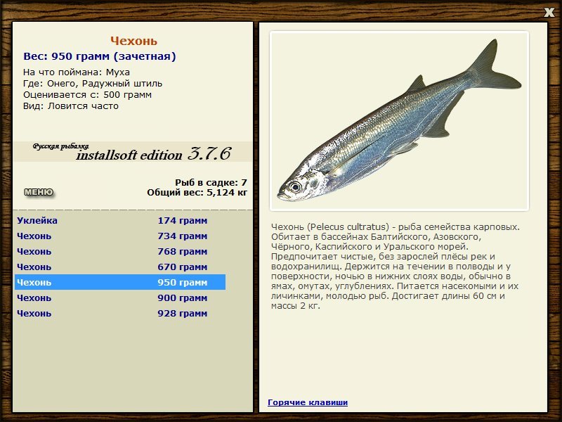 Радужный штиль 