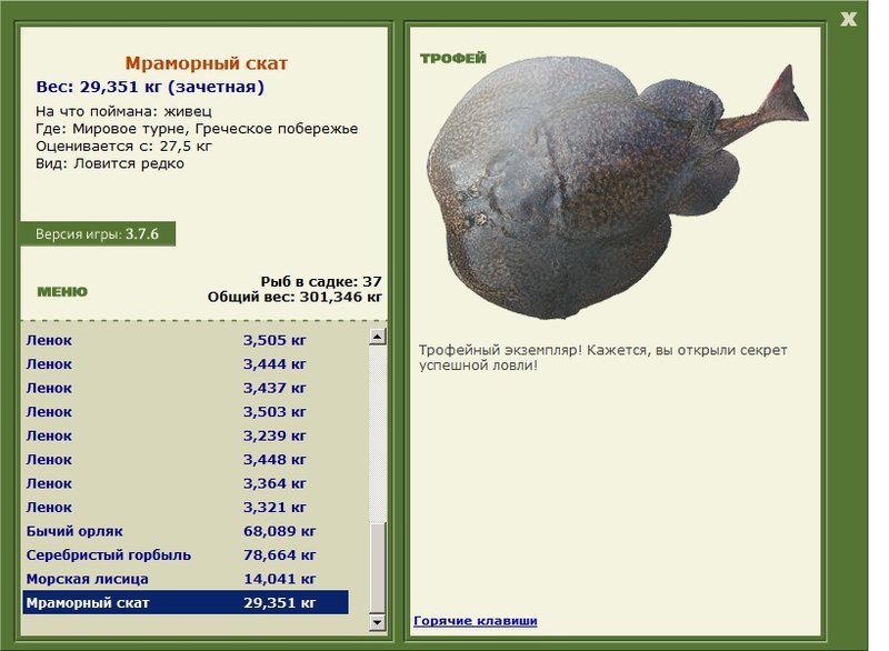 Мраморный скат 