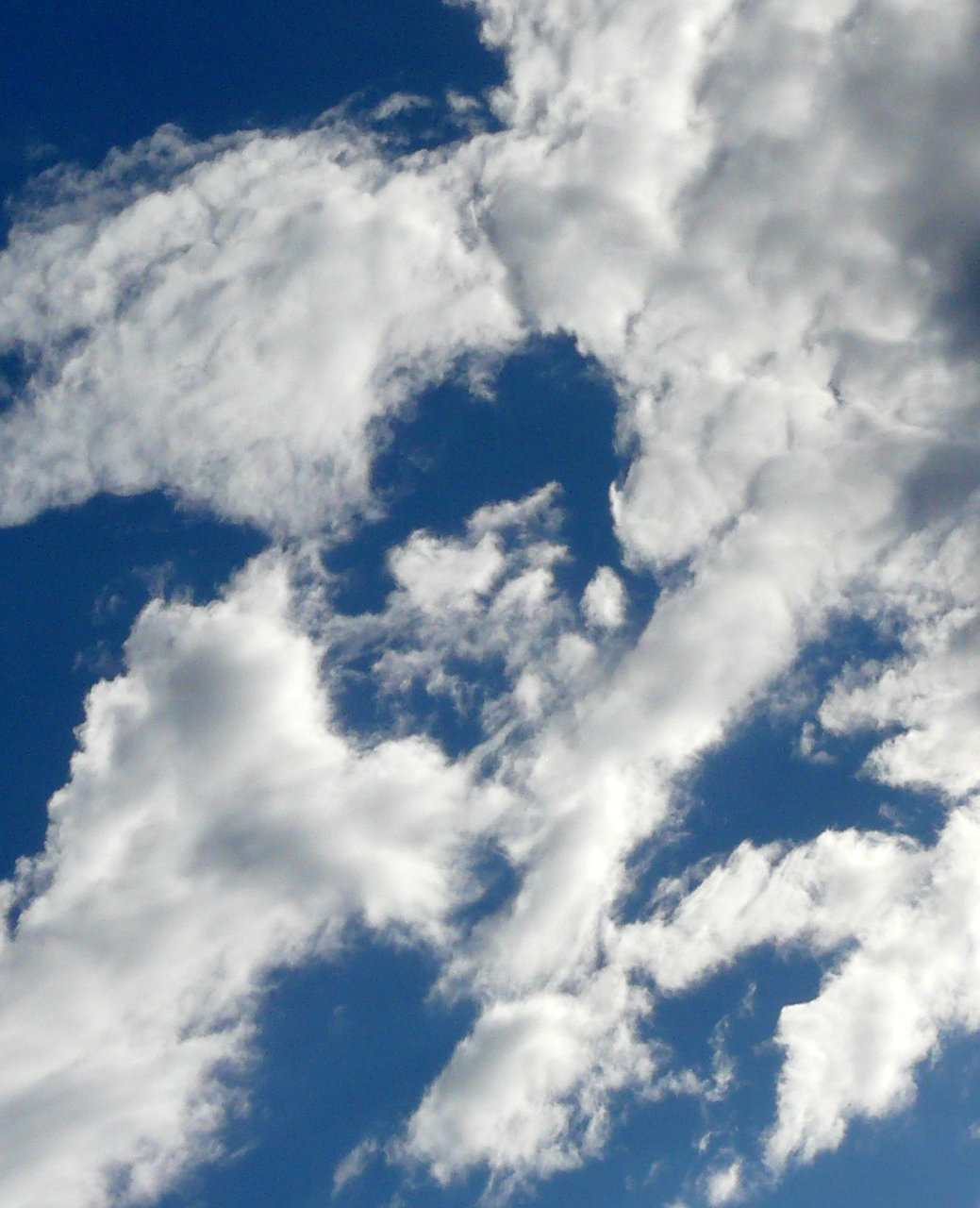 лики - Форум 