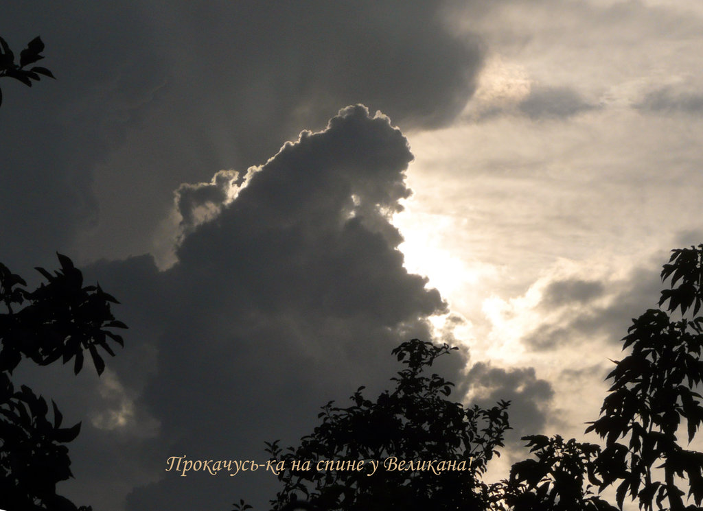 лики - Страница 2 - Форум 