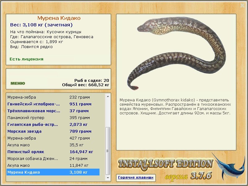 Мурена Кидако 