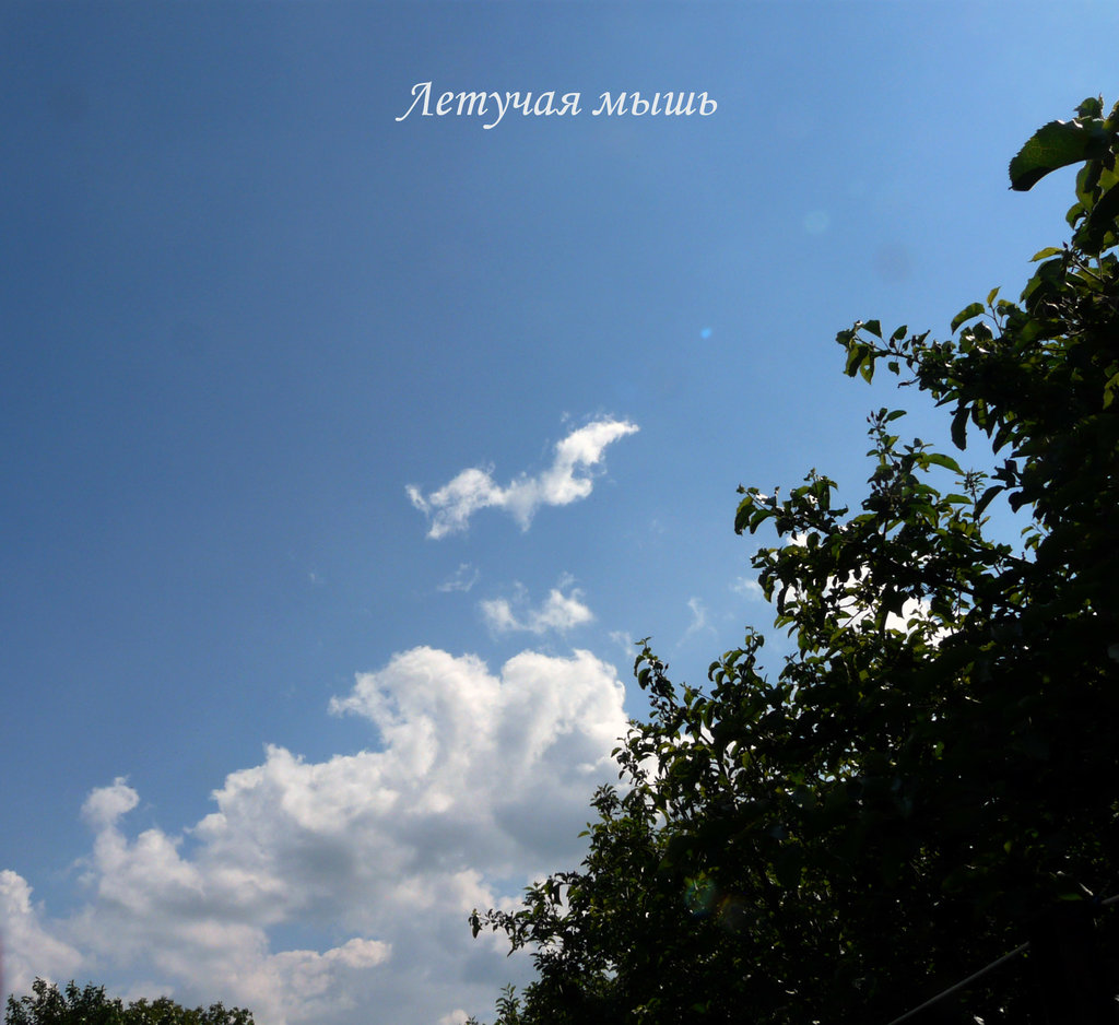 лики - Страница 2 - Форум 