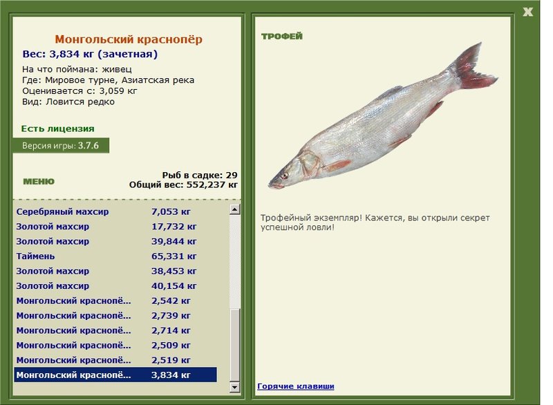 Монгольский краснопёр 