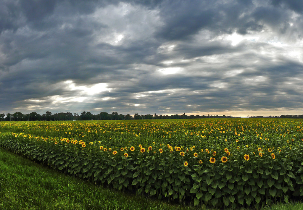 лики - Страница 3 - Форум 