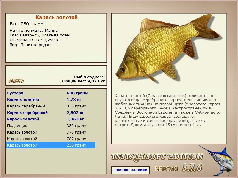 турниры • РУССКАЯ РЫБАЛКА
