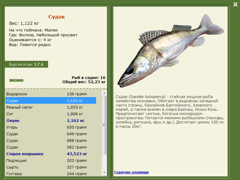 Небольшой просвет 