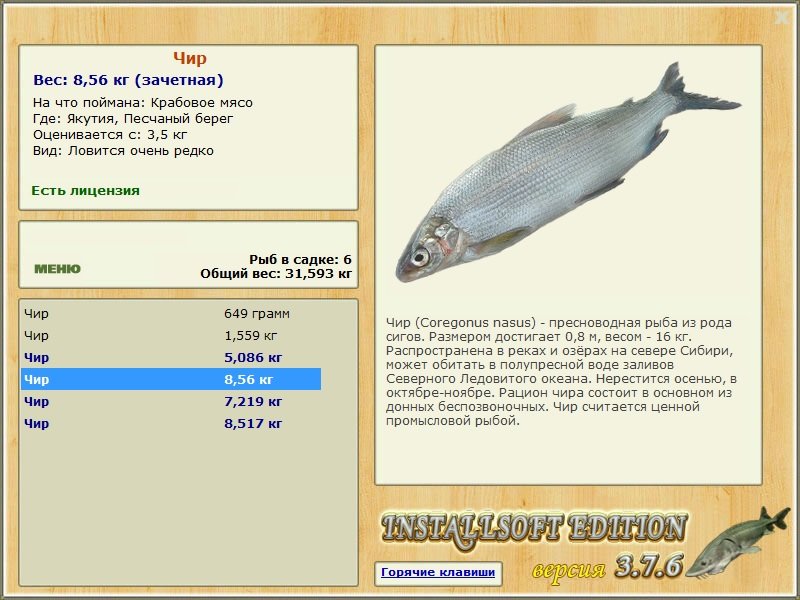 Песчаный берег 