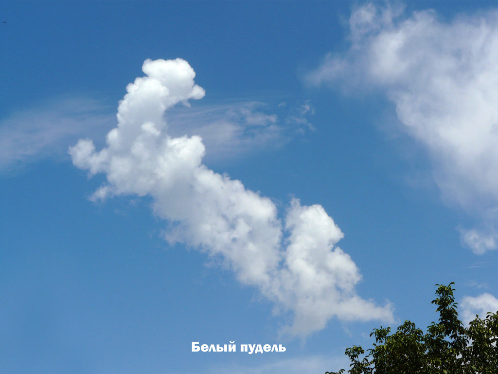 лики - Страница 3 - Форум 