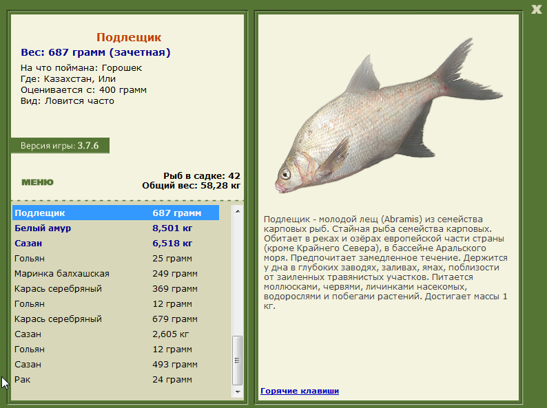 Или 