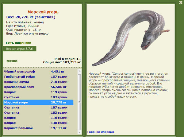 Римини 