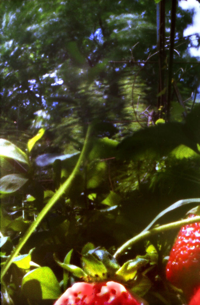 лики - Страница 4 - Форум 