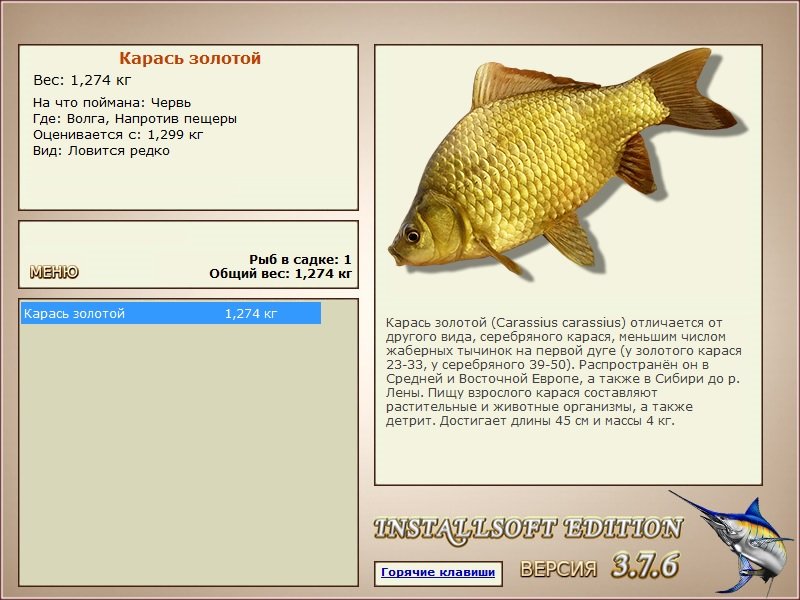 турниры • РУССКАЯ РЫБАЛКА