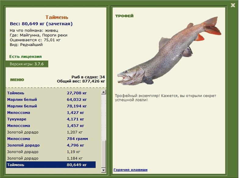 Пороги реки 
