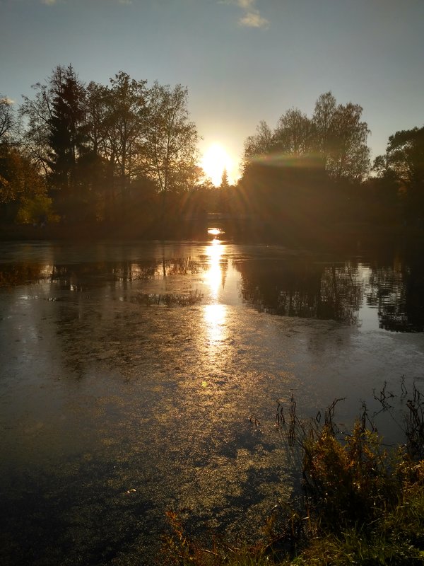  Страница 82 - Форум 