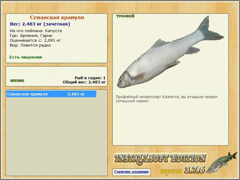 Гарни 
