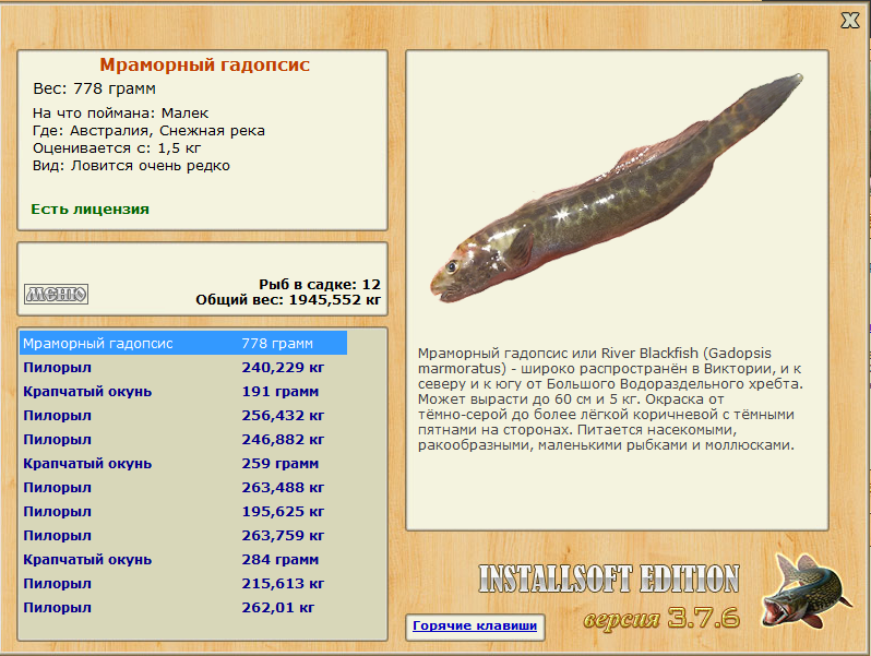 Снежная река 