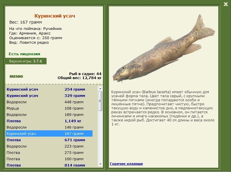 турниры • РУССКАЯ РЫБАЛКА