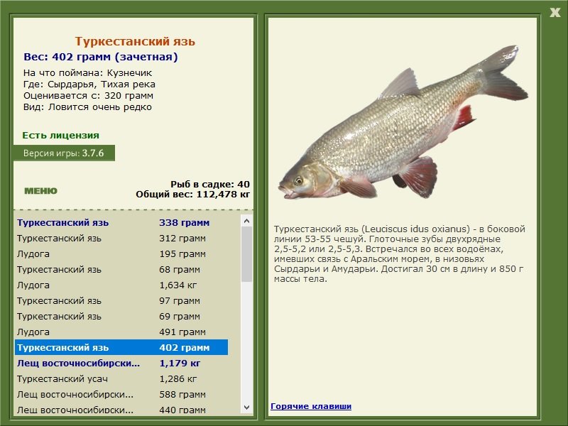 Тихая река 