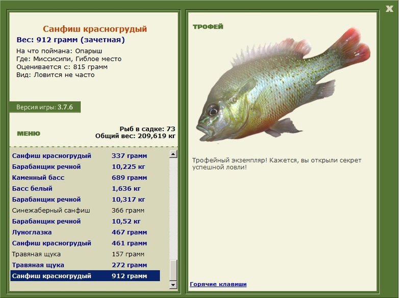 Санфиш красногрудый 