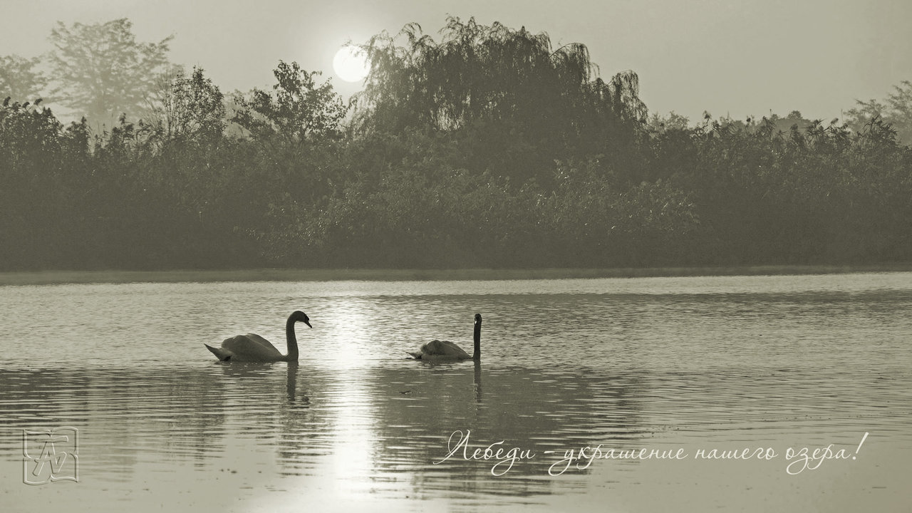 лики - Страница 4 - Форум 