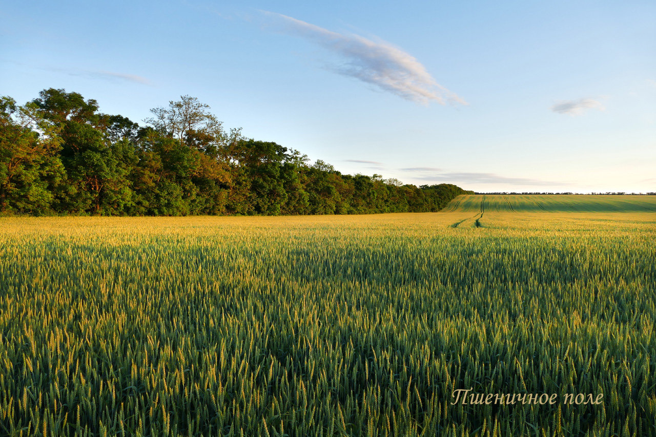 лики - Страница 4 - Форум 