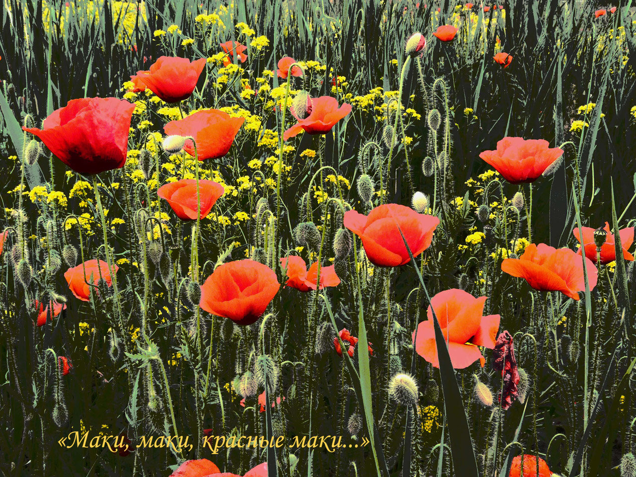 лики - Страница 4 - Форум 