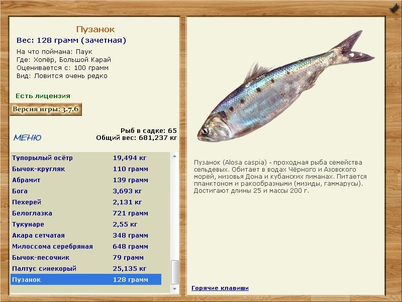 Большой Карай 