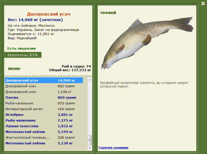 Днепровский усач 