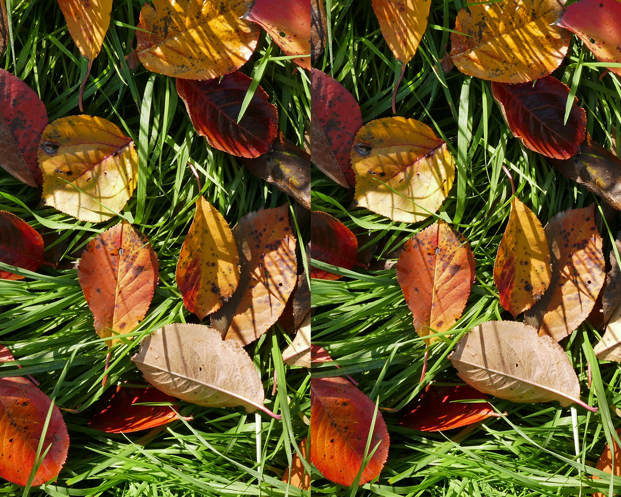 лики - Страница 5 - Форум 