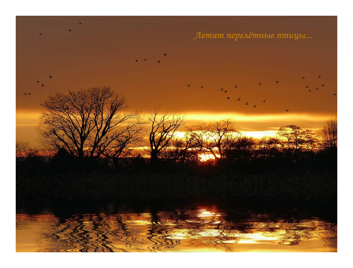 лики - Страница 5 - Форум 