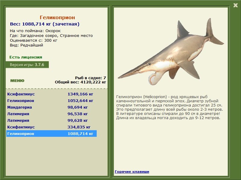 Странное место 
