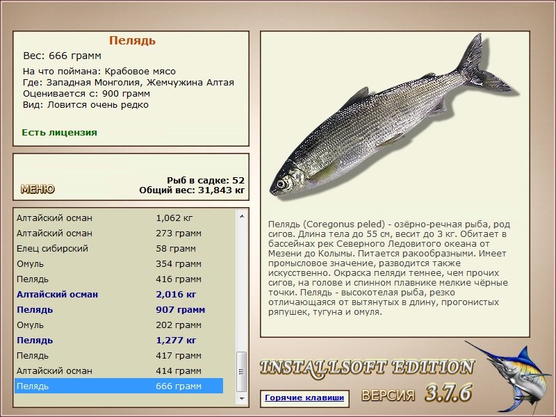 турниры • РУССКАЯ РЫБАЛКА