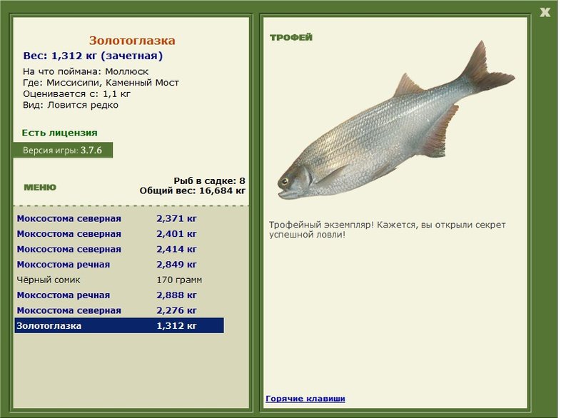 Золотоглазка 