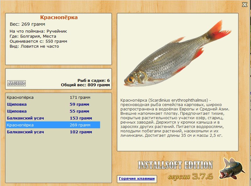 Места 