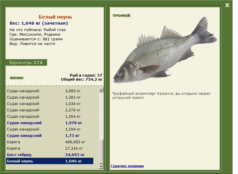 Белый окунь 