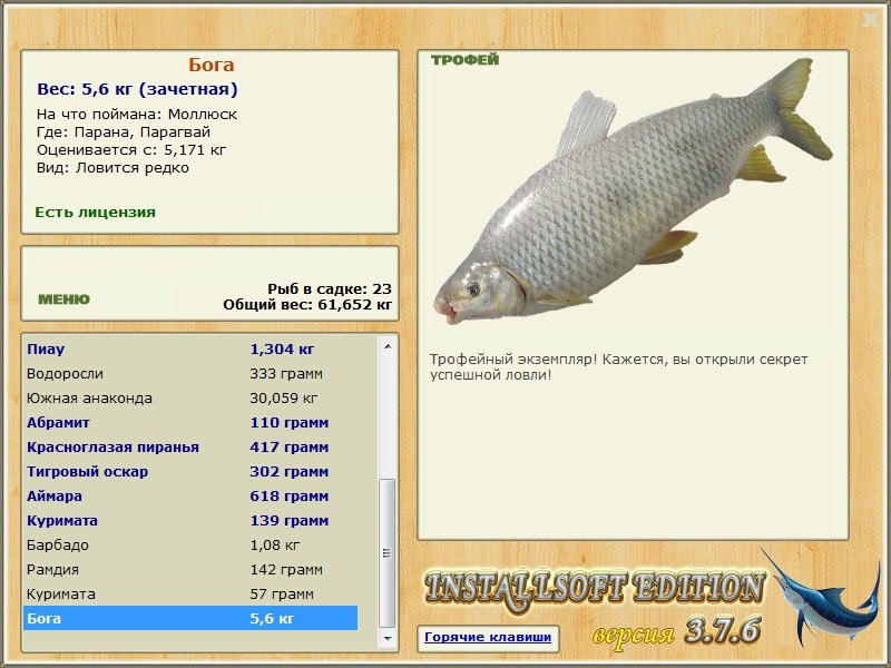 Бога 