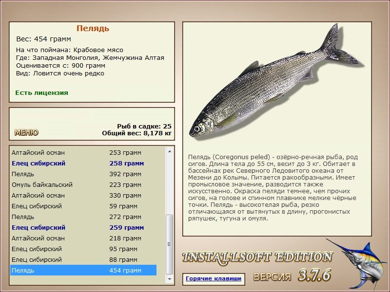 Жемчужина Алтая 