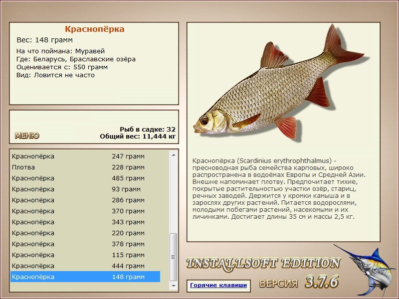 Браславские озёра 
