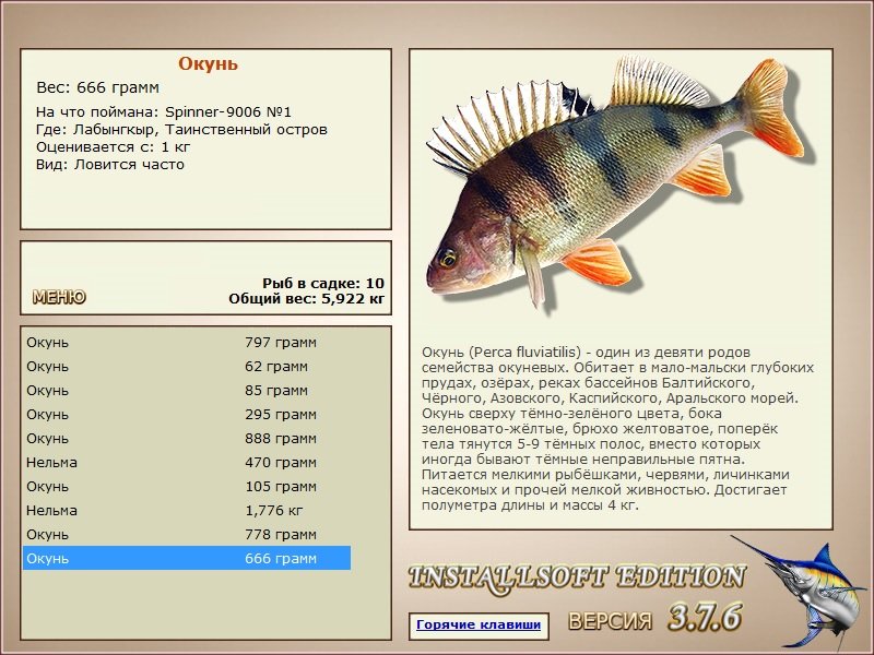 турниры • РУССКАЯ РЫБАЛКА