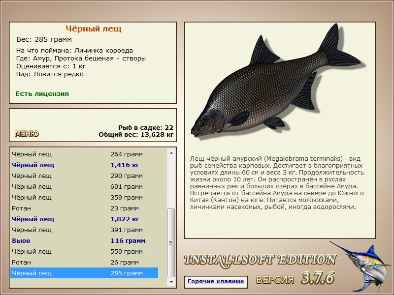  створы • Амур • РУССКАЯ РЫБАЛКА