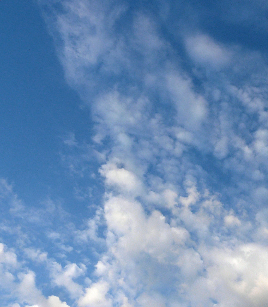 лики - Страница 6 - Форум 